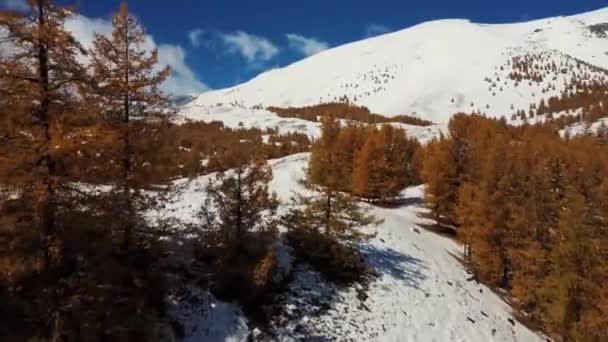 Altai Montagne Estate Nuvole Cascata — Video Stock