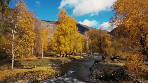 Altai Montanhas Verão Nuvens Cachoeira — Vídeo de Stock