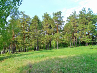 Bolgar Tataristan Rusya Şehri. Rabigi Gölü'nün pitoresk doğası
