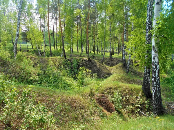 Stad Van Bolgar Tatarstan Rusland Schilderachtige Natuur Van Het Meer — Stockfoto