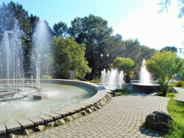 Sochi 'deki konser salonunda çeşme kompleksi.