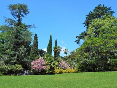 Soçi 'deki botanik bahçesinin doğası