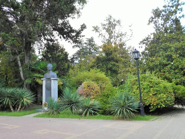 Pomnik Kosmonauty Sewastjanowa Riwierze Park Soczi — Zdjęcie stockowe