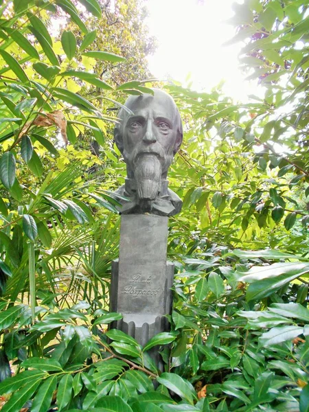 Nekrasov Bust Riviera Park Sochi Stock Picture