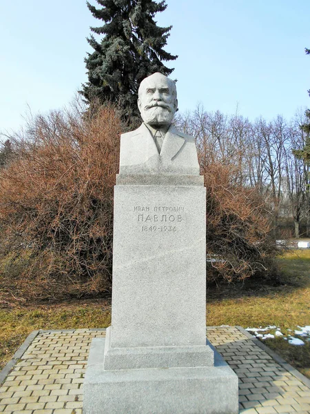 Bust Pavlov Msu Square — 图库照片