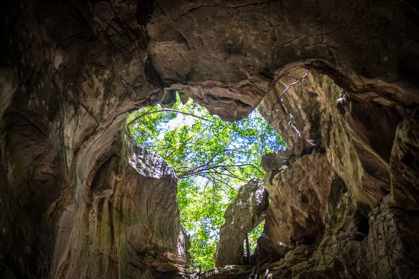 Blick Von Der Berghöhle Auf Den Wald — Stockfoto