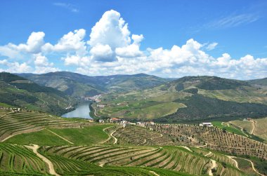Üzüm bağları Douro Vadisi nehir, Portekiz
