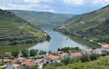 Üzüm bağları Douro Vadisi nehir, Portekiz