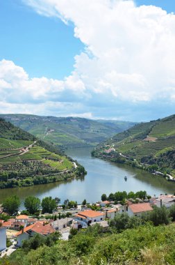 Üzüm bağları Douro Vadisi nehir, Portekiz