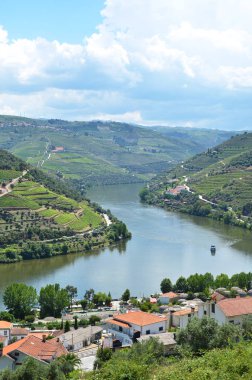 Üzüm bağları Douro Vadisi nehir, Portekiz