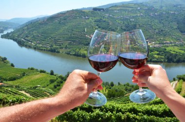 Wine glasses against vineyards in Douro Valley, Portugal clipart