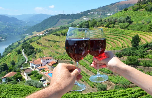 Copas Vino Contra Viñedos Valle Del Duero Portugal — Foto de Stock