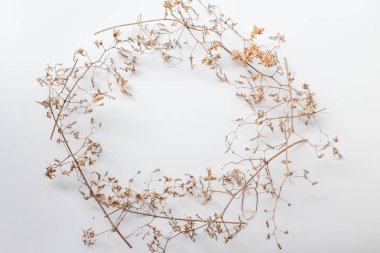 Desen doku ile yeşil kuru beyaz zemin üzerine hop kalkıyor. Düz yatıyordu, en iyi görünüm çok az kavramı