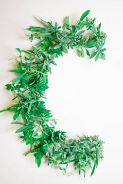 Çim, gelen yeşil alfabe lahanası ve bırakır. Mevsim yaz harflerle. Yeşil taze bitkilerden C harfi