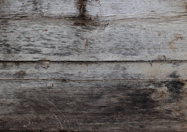 Abstract of old log wood texture, log wood stump as background or wallpaper, wood stump pattern, crack of old log wood