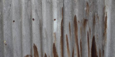 asbest duvarı. yeşil yaprakları ile gri ve beyaz arduvaz duvar. Arduvaz üzerinde kahverengi lekeler