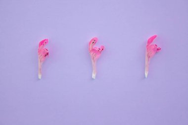 Mor bir arka planda pembe çiçek yapılmış çiçek arka plan çerçevesi. Düz yatıyordu, üst görünüm çiçek arka plan.