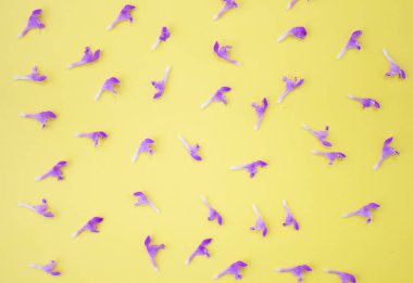 Çiçek arka plan çerçeve pembe çiçekler ve sarı bir arka plan üzerinde mor tomurcukları yapılmış. Düz döşeme, üst görünüm çiçek arka plan.