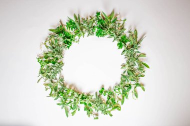 Menekşe beyaz zemin üzerinde bir çelenk. Yuvarlak kare mor çiçekler ve taze ot. Yaz çiçek. Düz yatıyordu, en iyi görünümü.