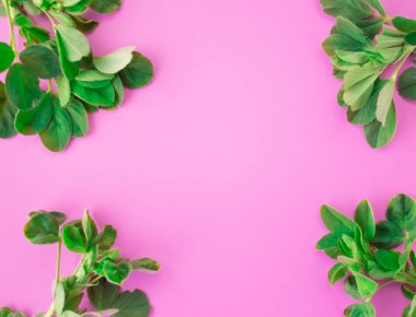 Pembe arka planda yeşil yaprakları deseni. Düz yatıyordu, üst görünüm