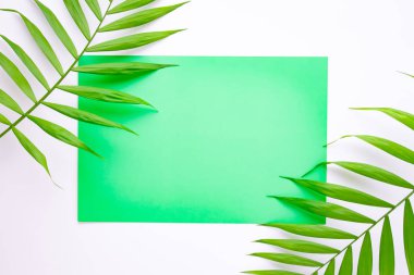 Tropikal palmiye yaprakları, yaz tatili konsepti, tasarım veya metin eklemek için şablon düzeni boş mavi kart. Aquamarine