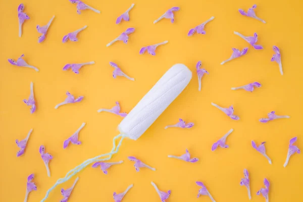 Vrouwelijke hygiëne voor een periode van dagen, menstruele cyclus mot. Beschermende zorg voor de gezondheid van vrouwen. Bovenaanzicht, platte lay. — Stockfoto