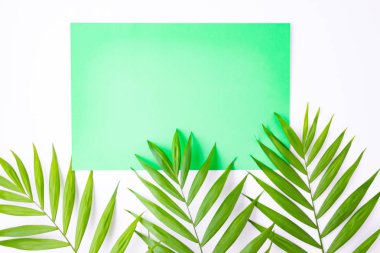 Tropikal palmiye yaprakları, yaz tatili konsepti, tasarım veya metin eklemek için şablon düzeni boş mavi kart. Aquamarine
