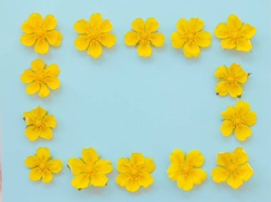 Mavi arka planda çiçek sarısı dikdörtgen çerçeve. Kartpostallar için çiçek aranjmanı. Üst Manzara. Düz yatıyordu.