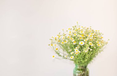  Saydam bir vazoda papatya buketi ve metin için fotokopi alanı. Papatya esaslı doğal kozmetik ürünleri genç ve olgun ciltler içindir. Sağlıklı cilt kavramı.