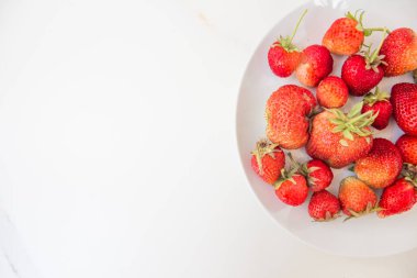  Beyaz terelka içinde ev bahçesinden alınmış iştah açıcı çilek ve fotokopi alanı. Çilek ve kırmızı böğürtlen hasat mevsimi. Dokunulmazlığı arttırmak için çileksiz alerji..