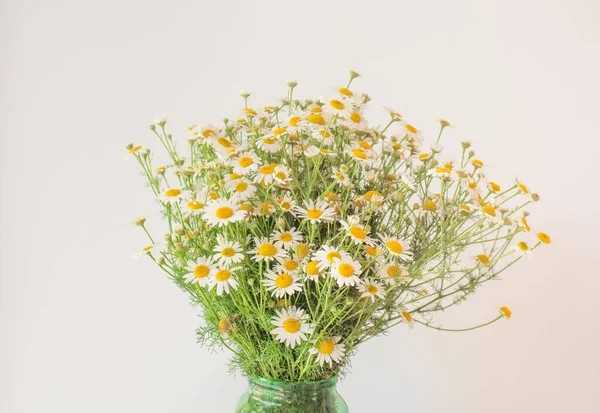  Saydam bir vazoda papatya buketi ve metin için fotokopi alanı. Papatya esaslı doğal kozmetik ürünleri genç ve olgun ciltler içindir. Sağlıklı cilt kavramı.