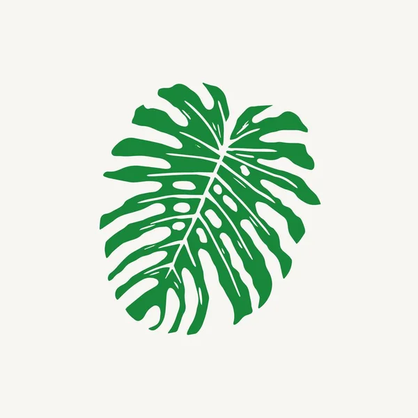 Monstera tropical folha esboço vetor ilustração —  Vetores de Stock