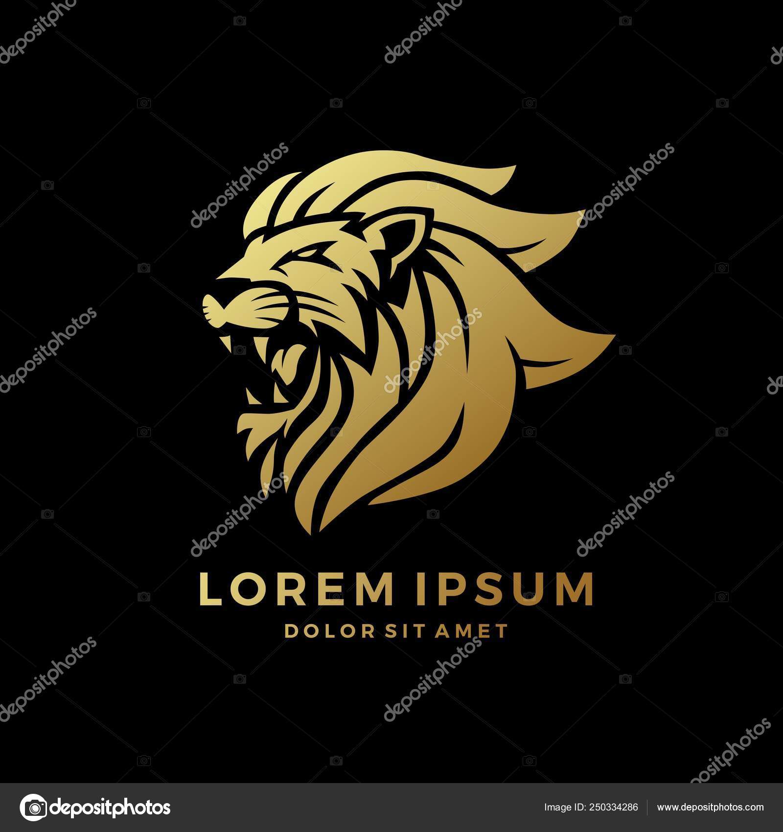 Roaring Lion Logo King Gold On Black Background Vector Download Stock Vector Image By C Gagavastard