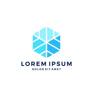 buz bloğu kar taneleri logo simgesi vektör illüstrasyon