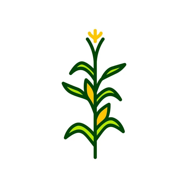 Maïs boom vector pictogram illustratie — Stockvector