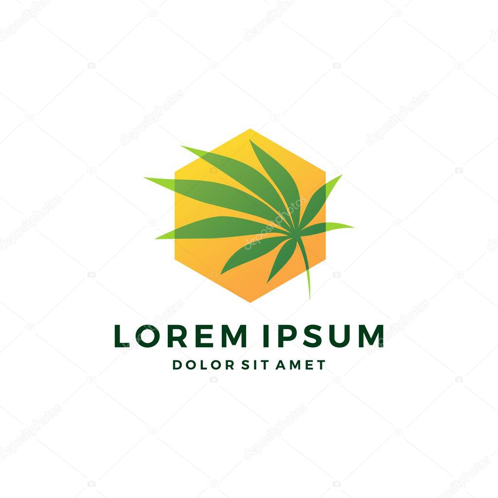 Cannabis box cube hexagonal hemp marijuana hive leaf logo