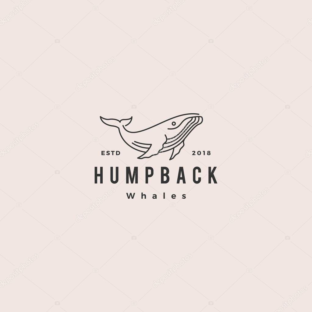 Humpback whale logo hipster vintage retro icon vector illustration