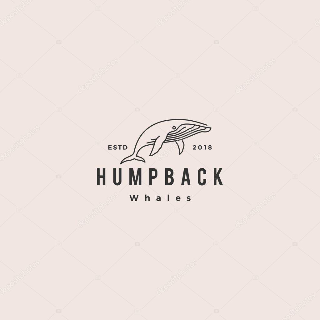 Humpback whale logo hipster vintage retro icon vector illustration