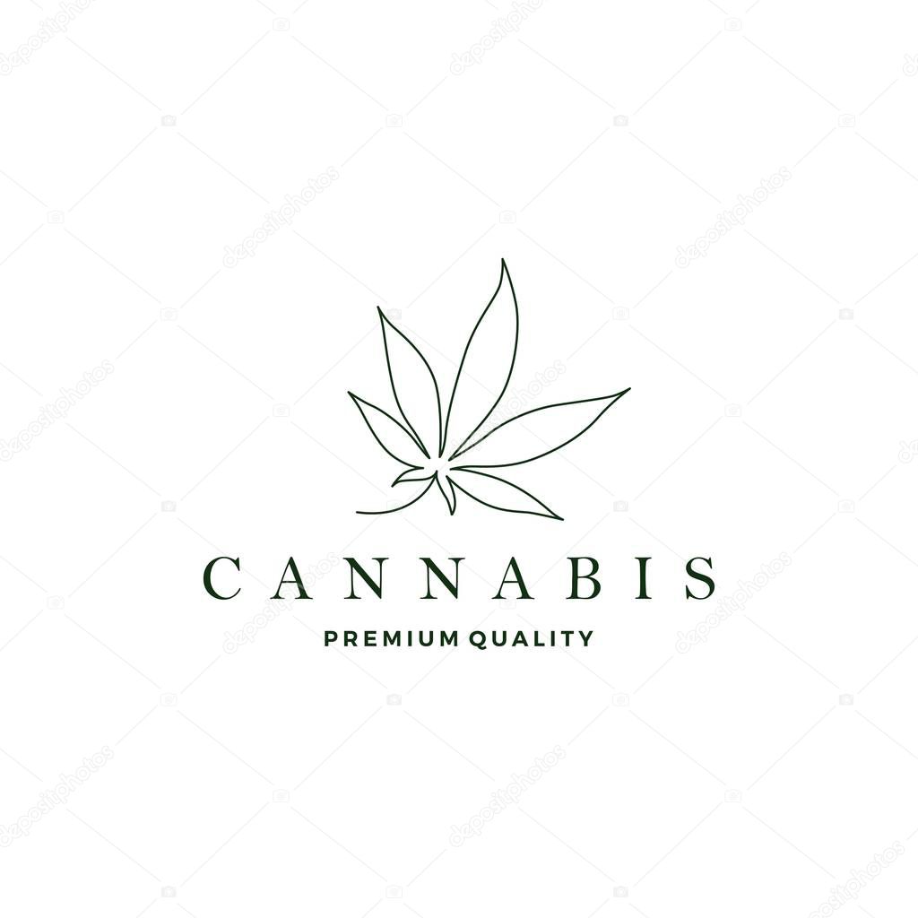 Cannabis leaf logo vector icon