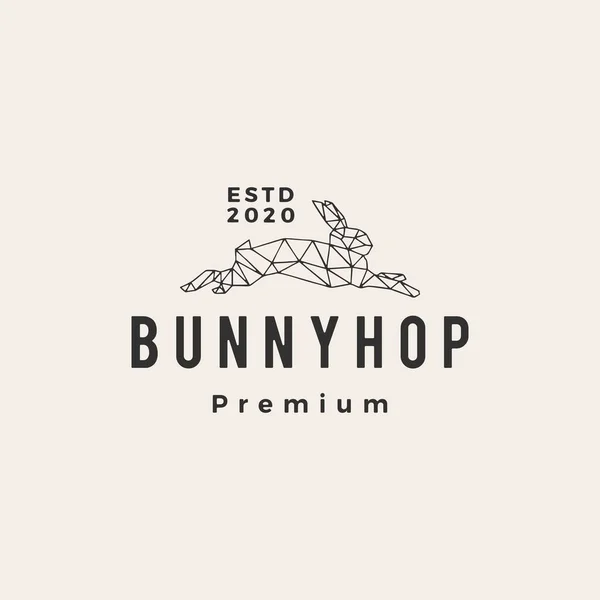 Geometric Rabbit Bunny Hop Hipster Vintage Logo Vector Icon Illustration — Stock Vector