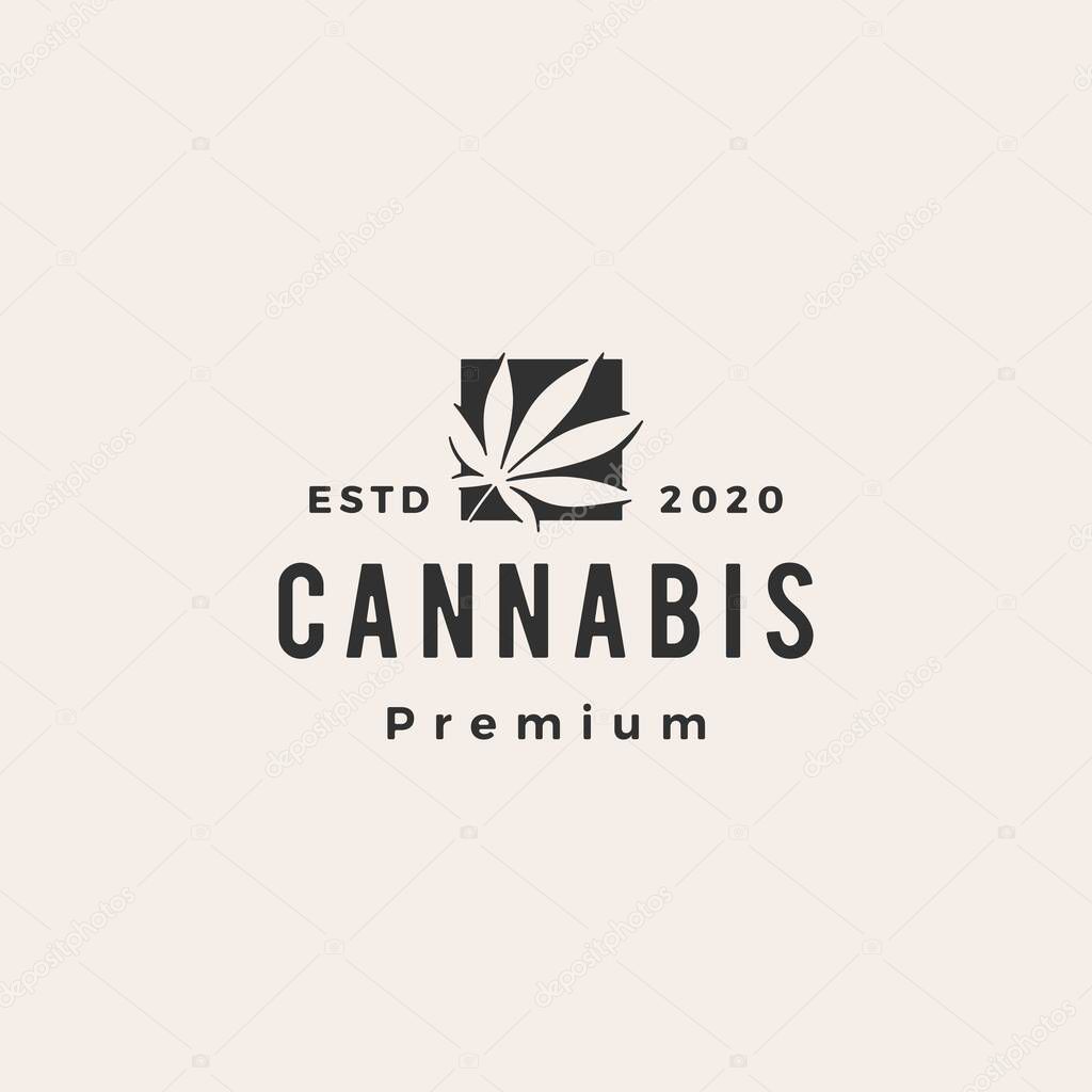 Cannabis hipster vintage logo vector icon illustration