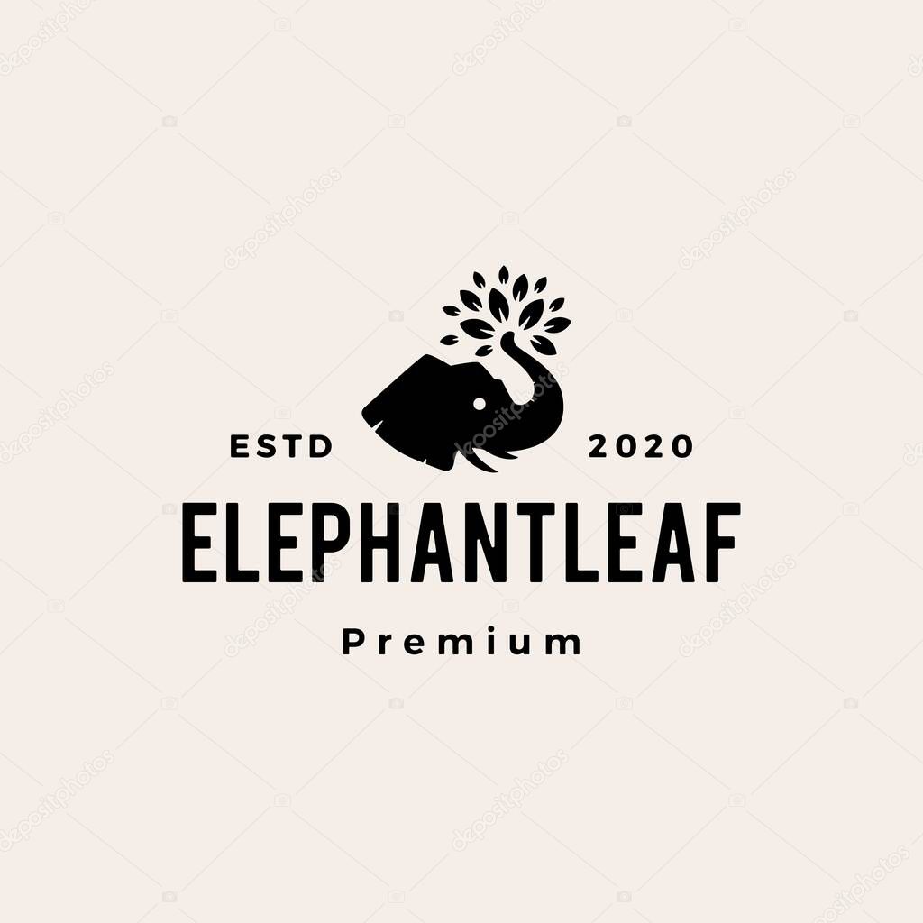 Elephant leaf leaves tree hipster vintage logo vector icon illustration
