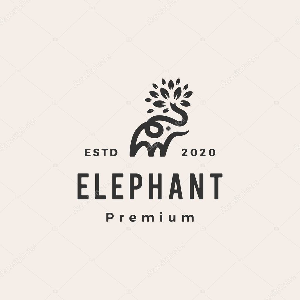 Elephant leaf leaves tree hipster vintage logo vector icon illustration