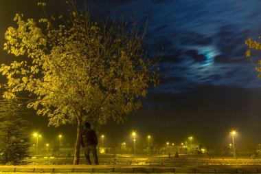 Gece; Yalnız, üzgün bir adam. Ağaçlar, çayır ve ay  