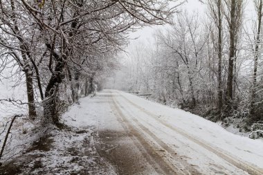 Kar natur kaplı. Karla kaplı yolda yürümek.  
