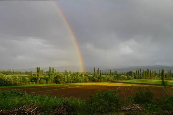 Rainbow and nature landscape. The magic of colors. Limited to imagination.