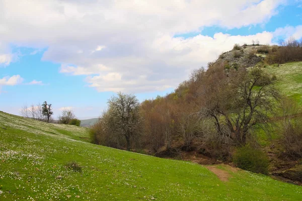 Risveglio Della Natura Con Avvento Della Primavera Vegetazione Lussureggiante Fiori — Foto Stock