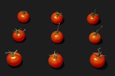 Siyah arkaplanda domatesler