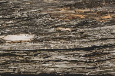 Yıpranmış Ahşap Doku Arkaplanı