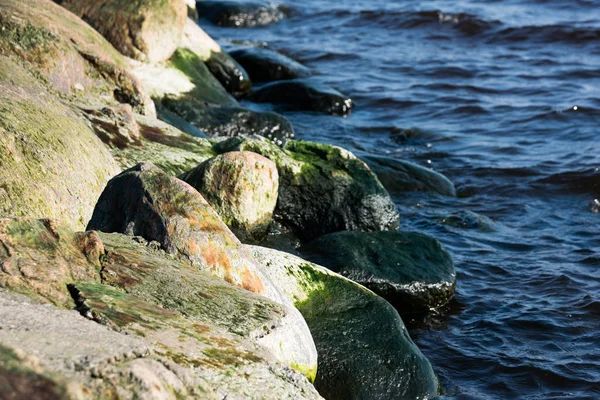 Rocks Seashore — Stock Photo, Image